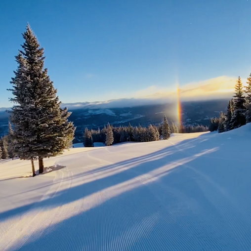 december newsletter sonya dalrymple