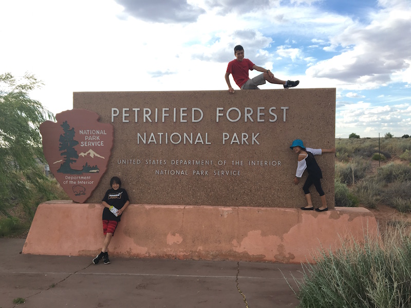 petrified 1