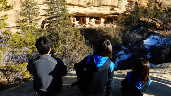 View of Spruce Treehouse at Beginning of tour