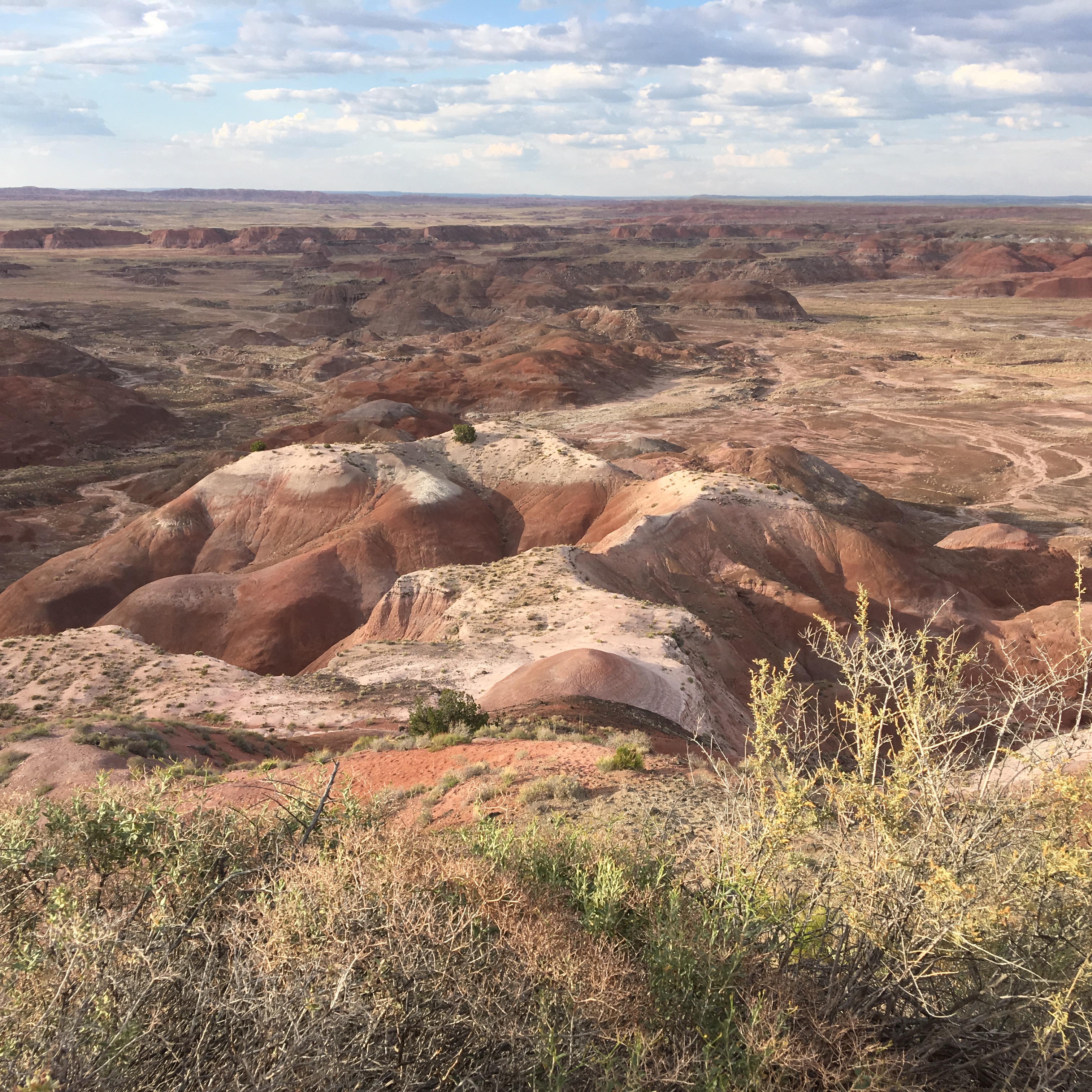 painted desert