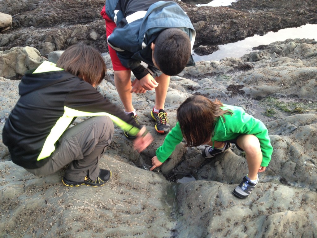 photo (4)