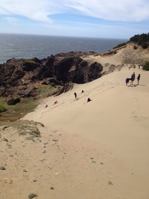 The kids loved tumbling down full on this oceanside dune. They never did it and just jumped in. Great memories!