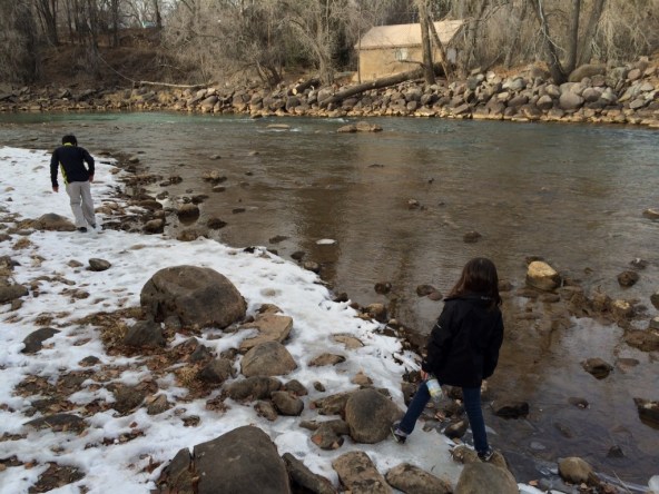 animas river