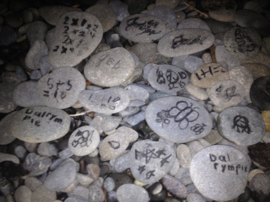 photo (7)