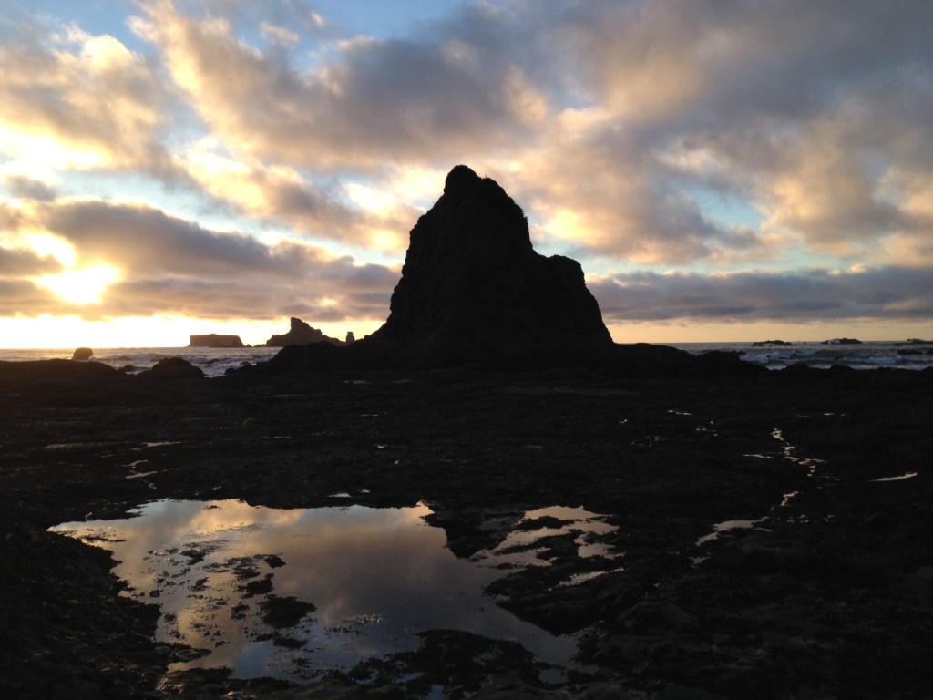 photo (6)